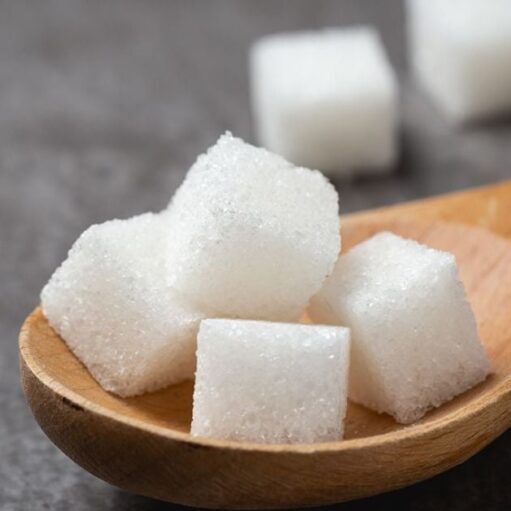 Endoscopicresearchinc